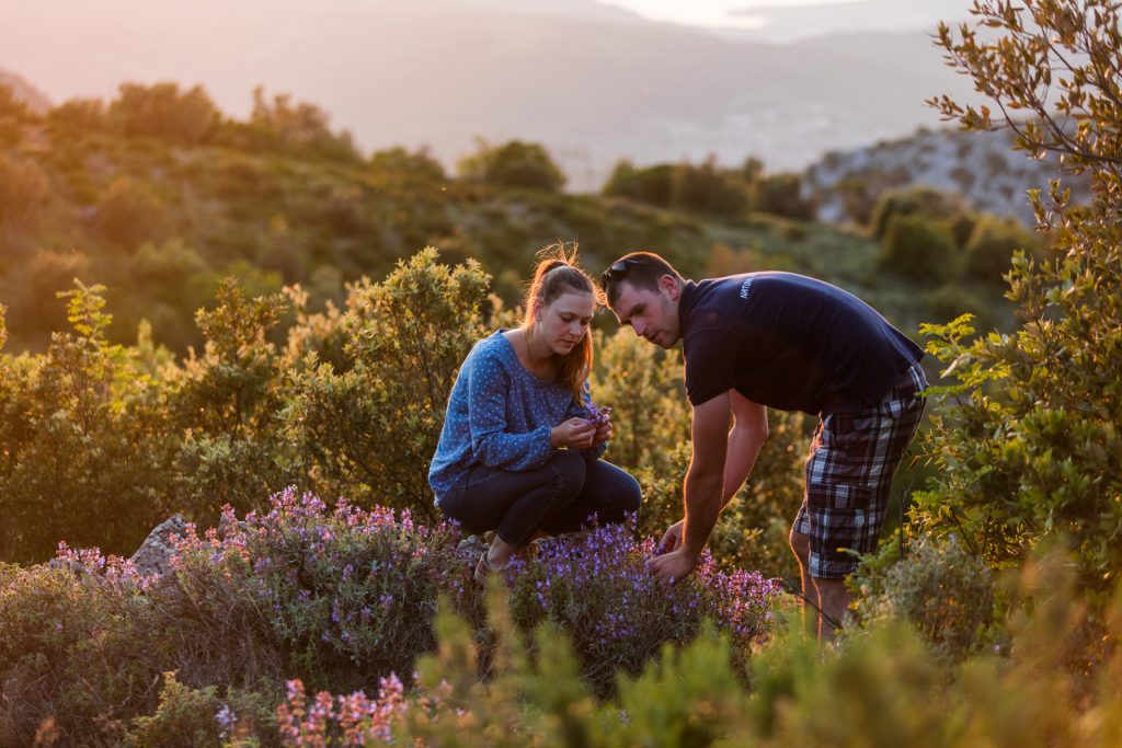 Hvar’s pastures, ie meadows full of Mediterranean plants, as the primary motive in creating our nature-inspired program, are the most well-kept treasures that lie on our island.