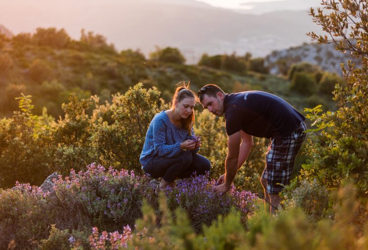 Springtime Bliss: Enjoying the Best of Hvar's nature